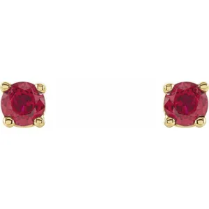 14K Yellow 2.5 mm Lab-Grown Ruby Stud Earrings with Friction Post